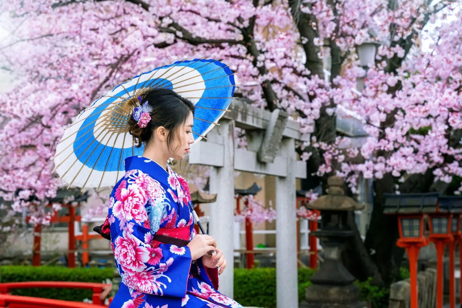 Study in Japan